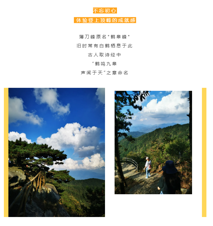 秋天了，來一場成年人的秋游吧(圖2)