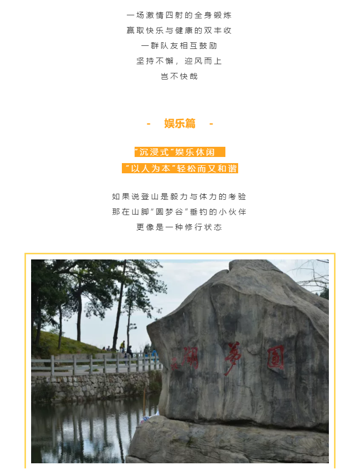 秋天了，來一場成年人的秋游吧(圖4)