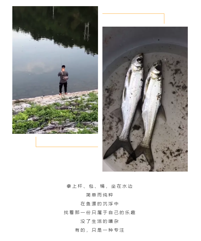 秋天了，來一場成年人的秋游吧(圖5)